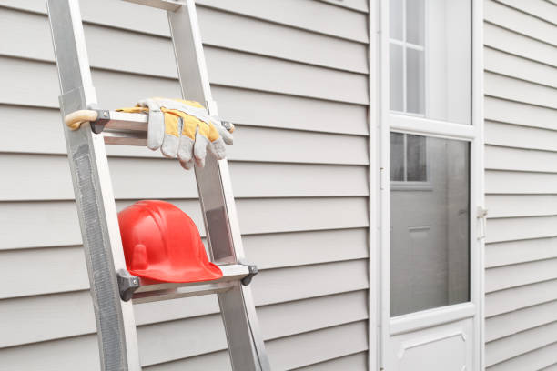 Affordable siding repair and maintenance services in Montrose, MI